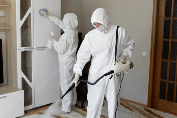 24/7 Emergency Odor Removal experts in Portland, MI