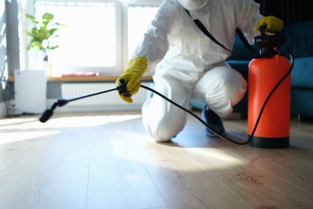 Reliable Odor Removal contractor in Portland, MI by Trauma Clean Pros